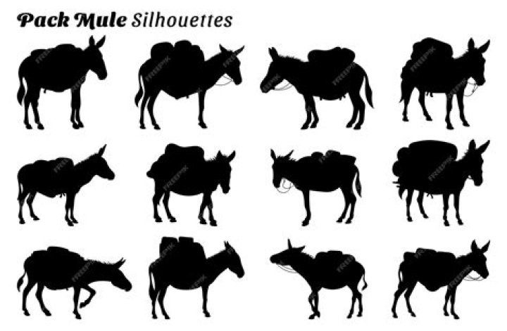 Impressive Pack Mule Silhouette: Enhance Your Visual Impact