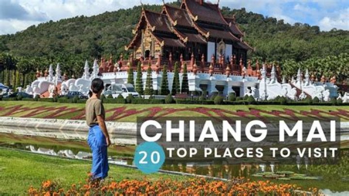 The Ultimate Guide To Pari Berk Chang | All You Need To Know