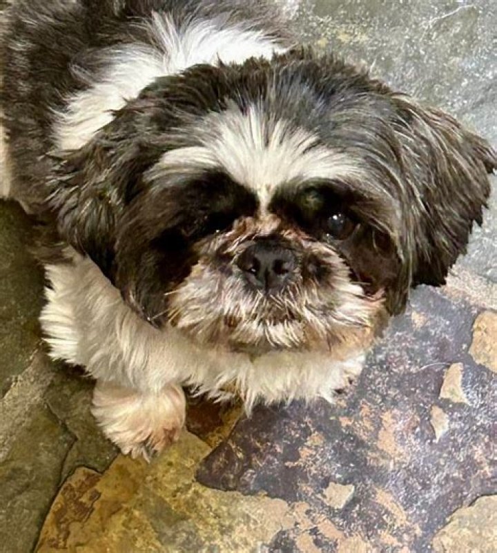 Akron's Premier Pet Destination: PetPeople