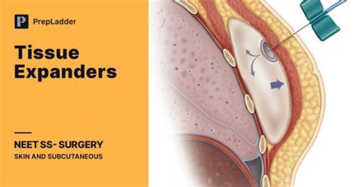 Exquisite Pictures Of Expanders: Visual Explorations