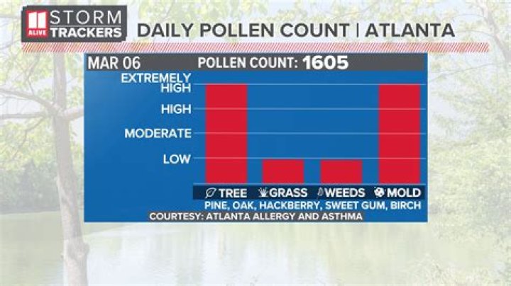 Accurate Martinez Pollen Count Updates | Real-Time Pollen Levels