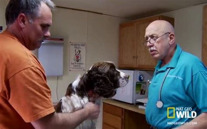 Unveiling The Complexities Of Veterinary Euthanasia In "Dr. Pol"
