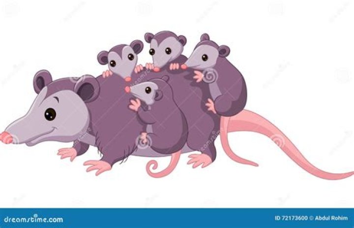 Cinematic Cartoon Capers Featuring Possums