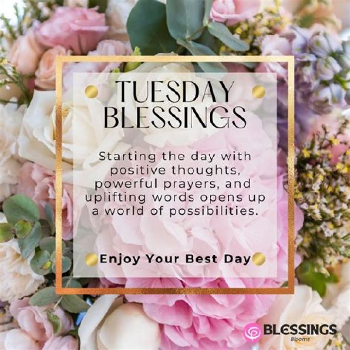 Discover The Power Of Quotes For Tuesday Blessings