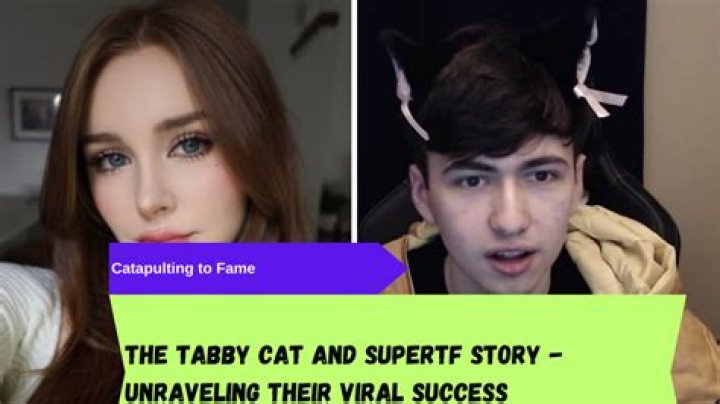 Unveiling The Enigmatic World Of Supertf Girlfriends: Discoveries And Insights