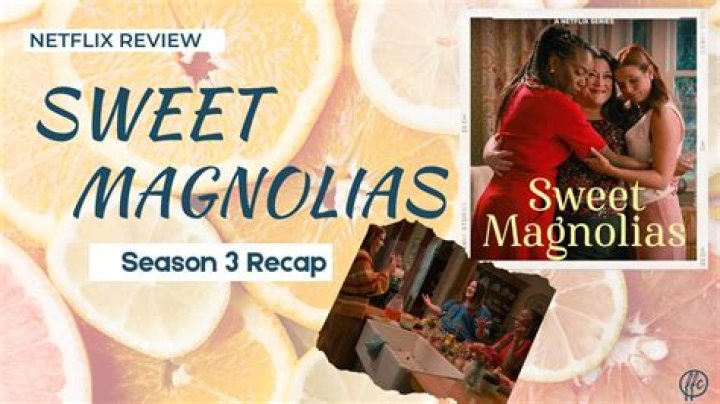 Exploring The Heartwarming World Of Sweet Magnolias: A Review