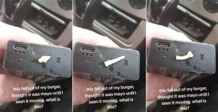 Tape Worm In Burger: A Health Risk Exposed