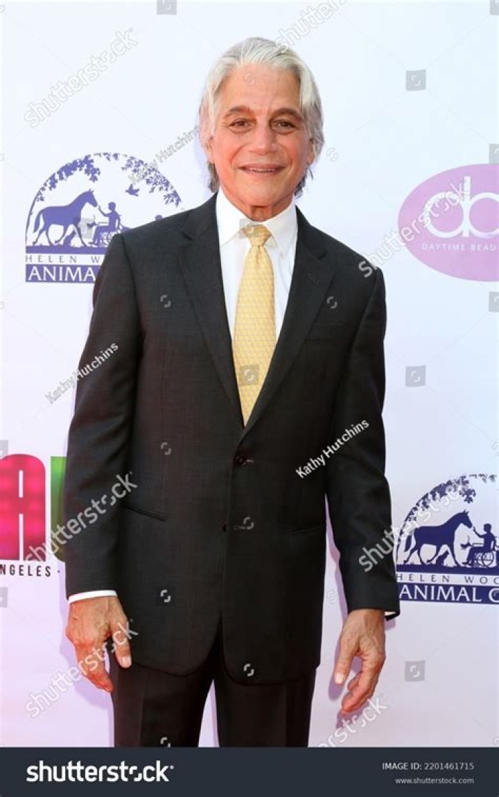 Unveiling The Multifaceted Tony Danza: Discoveries And Insights