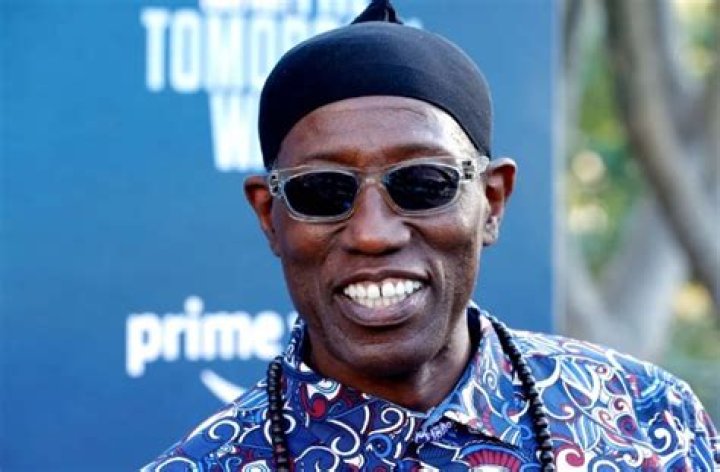 Wesley Snipes: The Illness Behind The Icon