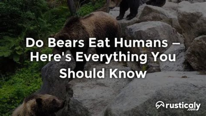 What animal eats the most humans?