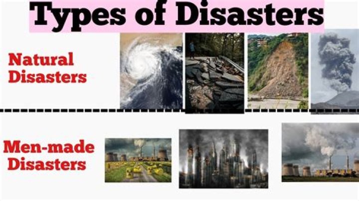 What are the 4 types of disaster management?