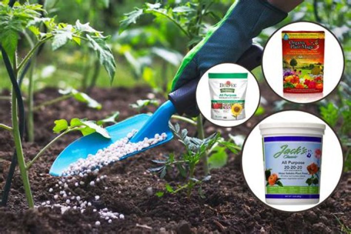 What is best fertilizer for flowering plants?
