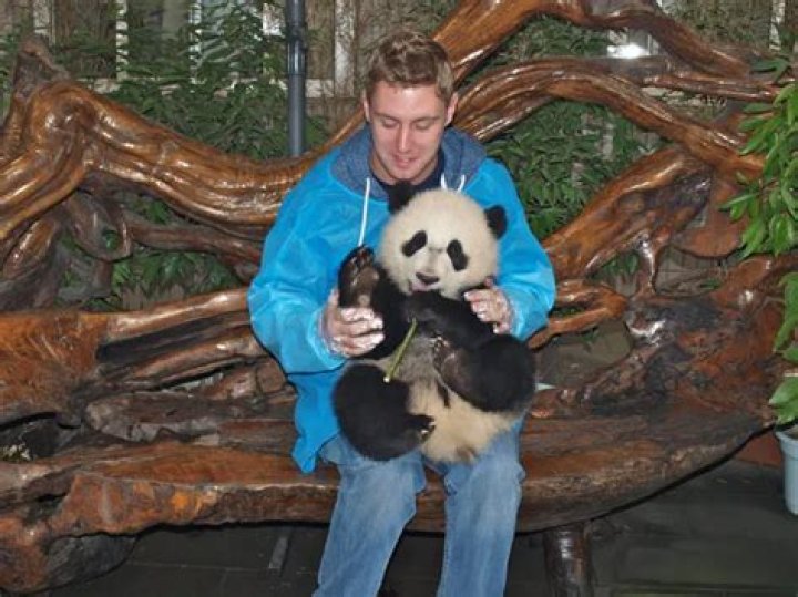Where can I hold a real panda?