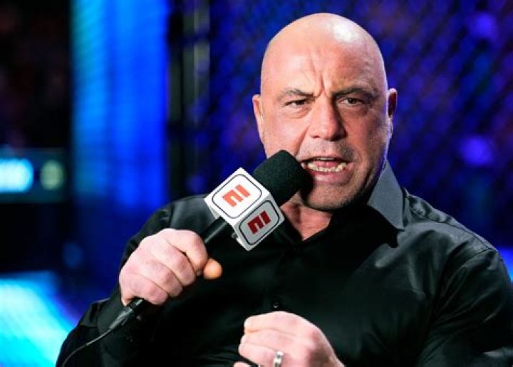 Unveiling The Phenomenon: Who Is Joe Rogan?