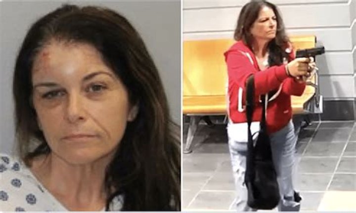 Who Is Suzanne Laprise? Ex-Connecticut State Worker Fires At Police Station ·